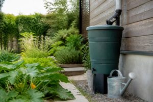 Installer un récupérateur d’eau de pluie au jardin : guide pratique pour gagner en autonomie et économiser l’eau